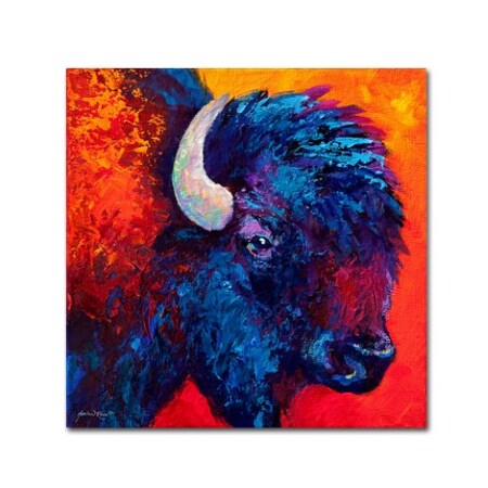 Trademark Fine Art Marion Rose 'Bison Head II' Canvas Art, 18x18 ALI7688-C1818GG